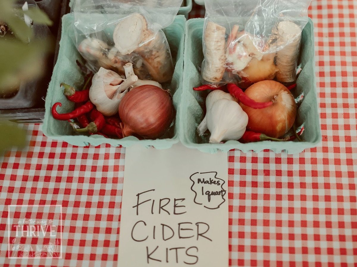 How to Make Fire Cider & 7 Surprising Mistakes to Avoid