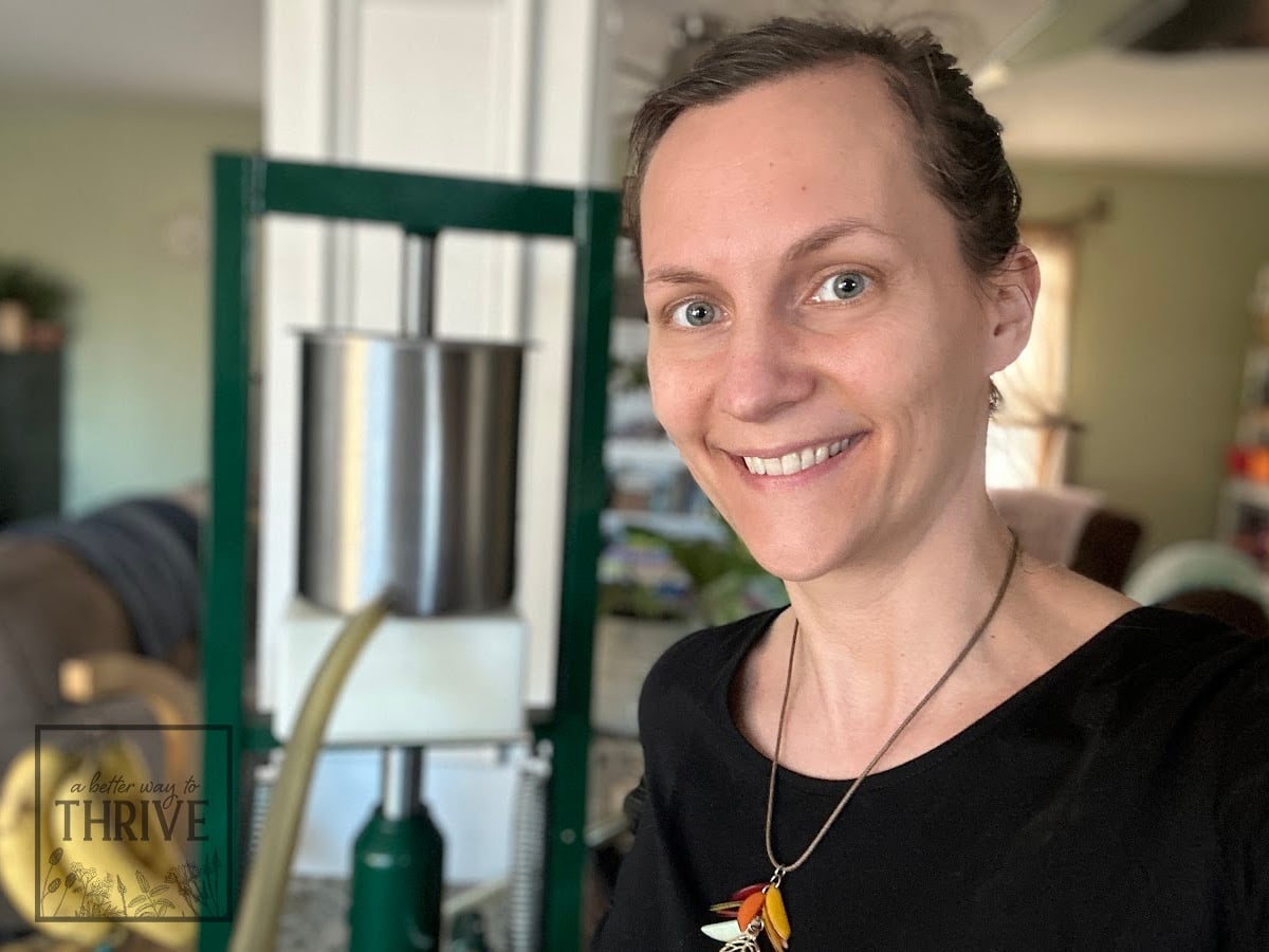 Using tincture press for mullein leaf tincture