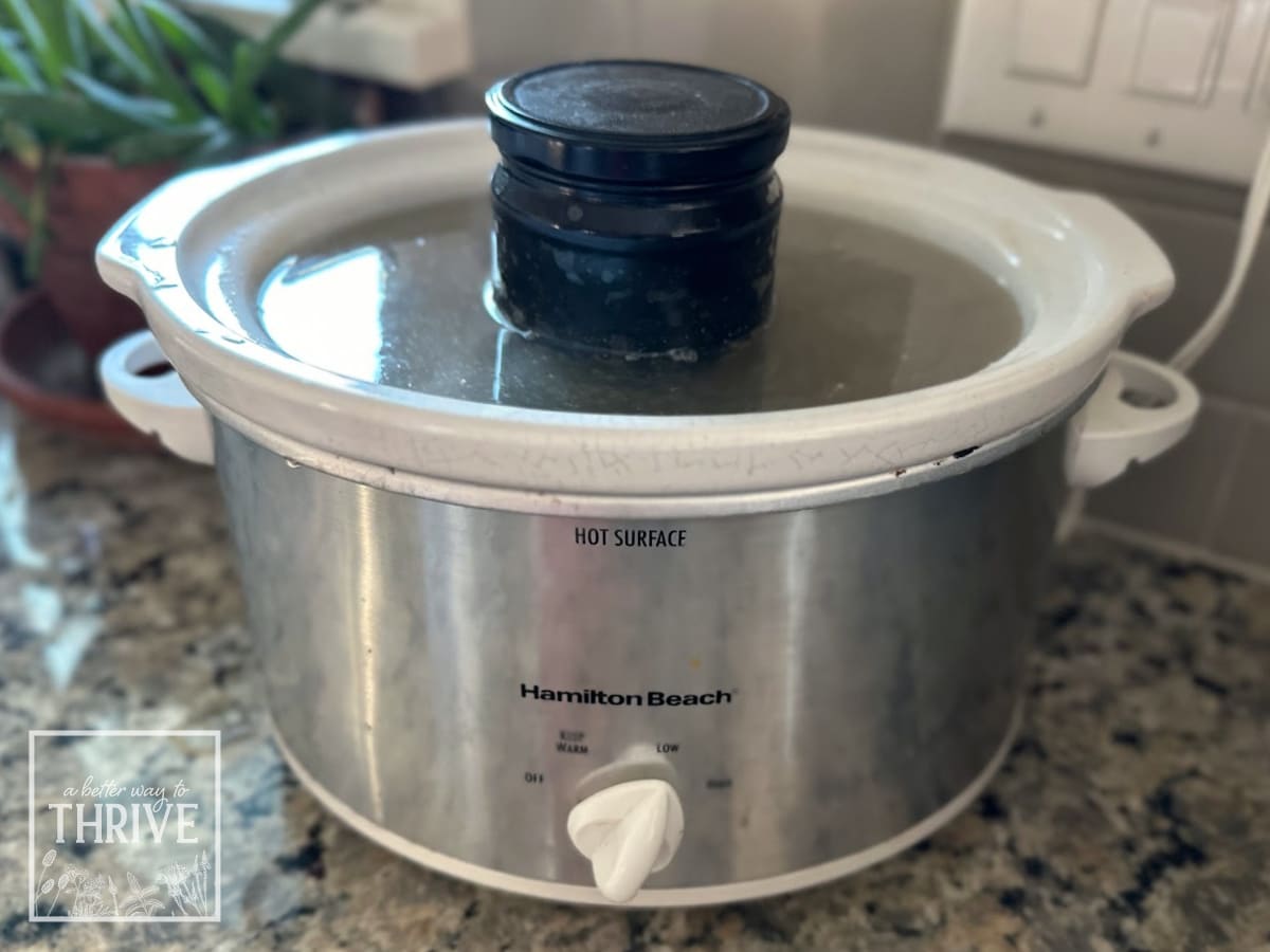 Warming mullein leaf glycerite